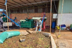 Coffee exports exceed US$2.23 billion in first four months