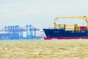 Efforts to reduce sea freight rates
