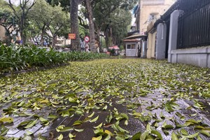 Localized heavy rain in Central Coastal, Central Highlands, Southern regions