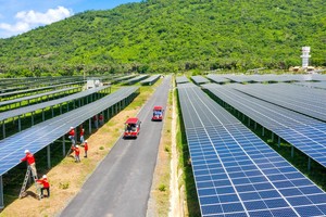 Concerns surrounding zero-dong pricing for rooftop solar power