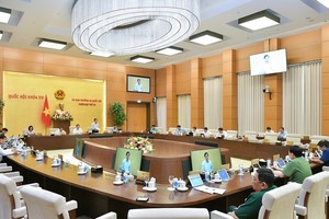 NA Standing Committee agrees on VAT reduction until year's end