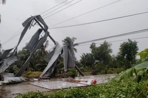 Storms, tornadoes cause several house collapses in Ca Mau, Bac Lieu