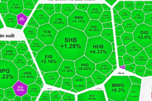 Record high margin loans in stock market