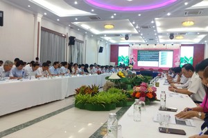 VCCI discusses business environment improvement for Mekong Delta region