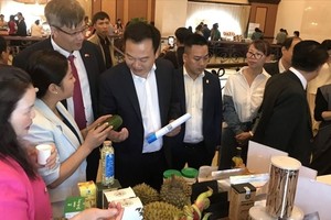 South Korea enhances trade relations with Central Highlands provinces