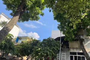 New heatwave in Central Vietnam, widespread rain in Southern region 