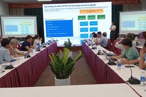 Forestry carbon market: High potential, many challenges