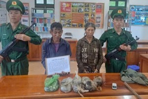 Two foreigners arrested for transporting 10kg of opium to Dien Bien