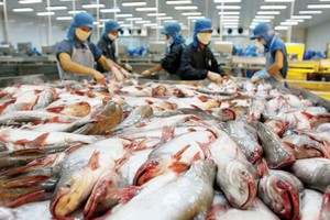 Vietnam becomes second largest supplier of white fish to US