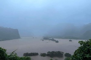 Over 15,000 houses submerged in severe flooding in Quang Binh