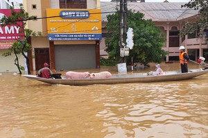 Over 32,000 homes in Quang Binh flooded, facing widespread power outages