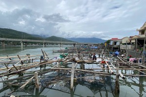 Lang Co Bay fish farmers devastated by Typhoon No.6