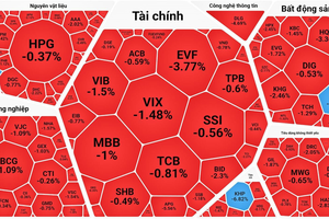 VN-Index slides, liquidity shrinks