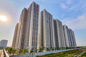 Apartment prices may rise 6-8 percent in 2025