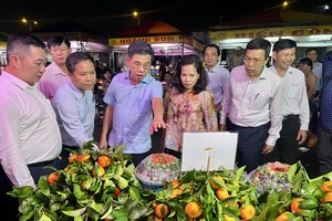 HCMC leadership surveys Tet goods at wholesale markets