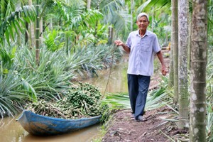 The barefoot billionaires in the Mekong Delta