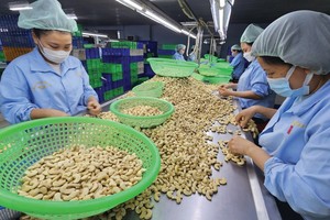 Rising EU food safety warnings threaten Vietnam’s agricultural exports