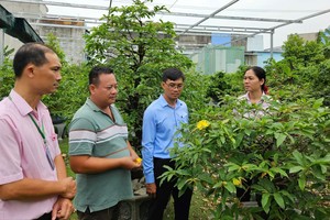 District 12 eradicates poverty with effective social policy credit programs