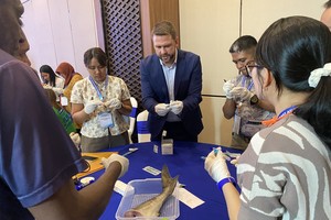 From yellow card to green livelihoods: Vietnam–Australia for a sustainable ocean