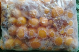 Hanoi authorities seize 800kg of smuggled frozen offal amid ongoing crackdown