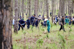 Localities mark President Ho Chi Minh’s birthday with tree planting campaign