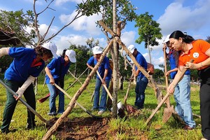 Overseas Vietnamese join HCMC tree planting tribute