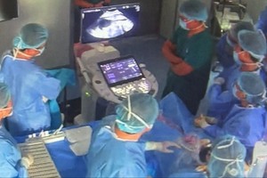 HCMC doctors perform rare fetal heart intervention for Singaporean patient