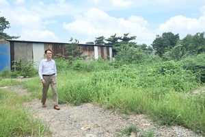 HCMC school projects delayed by red tape, land disputes