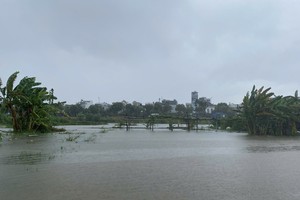 Typhoon Wutip causes significant crop damage