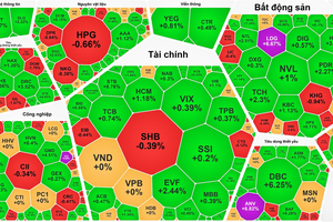 VN-Index hits new high as real estate stocks make breakthroughs