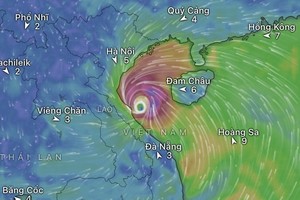 Storm forecast to enter East Sea, high likelihood of landfall in Vietnam