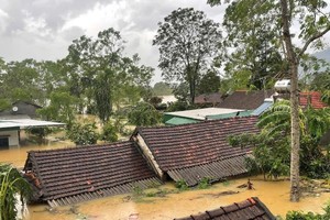 Flash floods in Nghe An force residents to flee overnight 