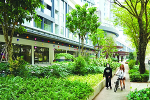 Green, digital transformation: The twin pillars of growth