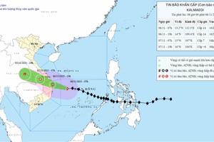 Typhoon Kalmaegi to make landfall from Quang Ngai to Dak Lak tonight