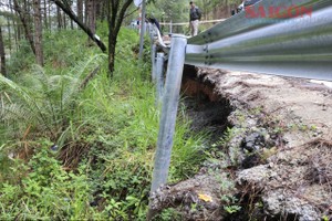 20-meter landslide on Mimosa Pass shuts multiple routes in Lam Dong
