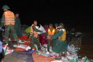 Da Nang deploys troops as embankment collapses, landslides escalate