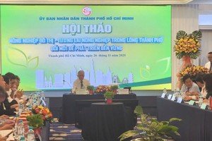 HCMC charts sustainable future for urban agriculture