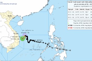 Storm No.15 weakens into tropical depression