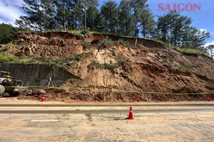 Lam Dong authorities restrict access to Prenn Pass for emergency tree removal