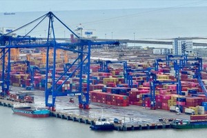 Nearly 500 containers of Vietnamese tea stranded at Karachi Port