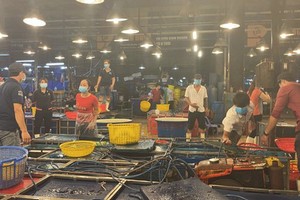 All operations in Binh Dien Wholesale Produce Market came to a halt due to the serious Covid-19 outbreak. (Photo: SGGP)