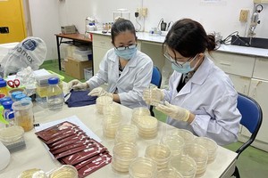 Research for a bio-technology product in SHTP Labs, the unit with many research results being successfully commercialized.