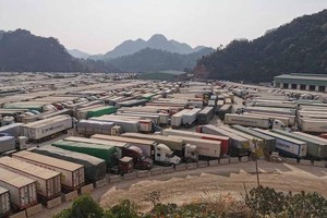 Record congestion at Tan Thanh border gate in Lang Son Province and many other gates in the Northern border area