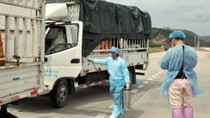 China suspends goods import via border gates in Mong Cai City