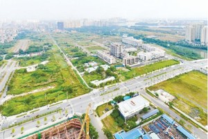 Thu Thiem land lots in the auction. (Photo: SGGP)