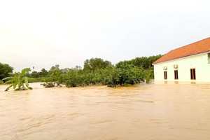 Heavy rain created flood in Nam Hoa Commune of Dong Hy District in Thai Nguyen Province