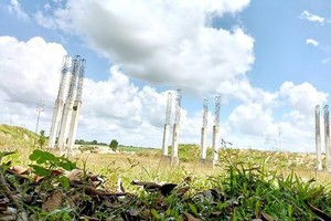 The 43ha land lot in Hoa Phu Ward of Thu Dau Mot City in Binh Duong Province is related to a land violation case