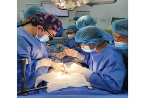 The first kidney transplant case in Thong Nhat Hospital