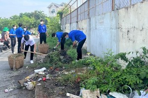 Public organizations and the armed force in District 12 join in a campaign to eliminate possible containers of mosquito larvae.