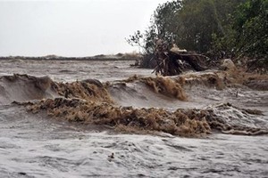 Mekong Delta reporting serious erosion on sea dyke, river embankment